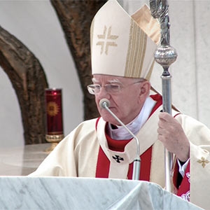 Abp Marek Jędraszewski, homilia, 14.08.2022