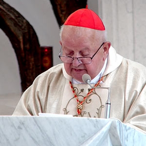Kard. Stanisław Dziwisz, homilia, 17.08.2022